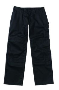 Afbeelding - mascot-7986542-pittsburgh-jpg